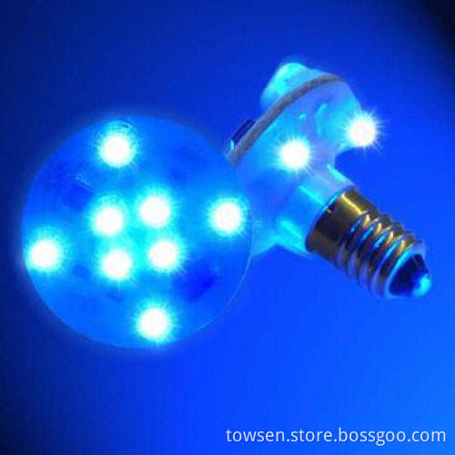 E10 LED Amusement/Fair Light for Amusement Rides, with 12-piece LEDs, 24/60V